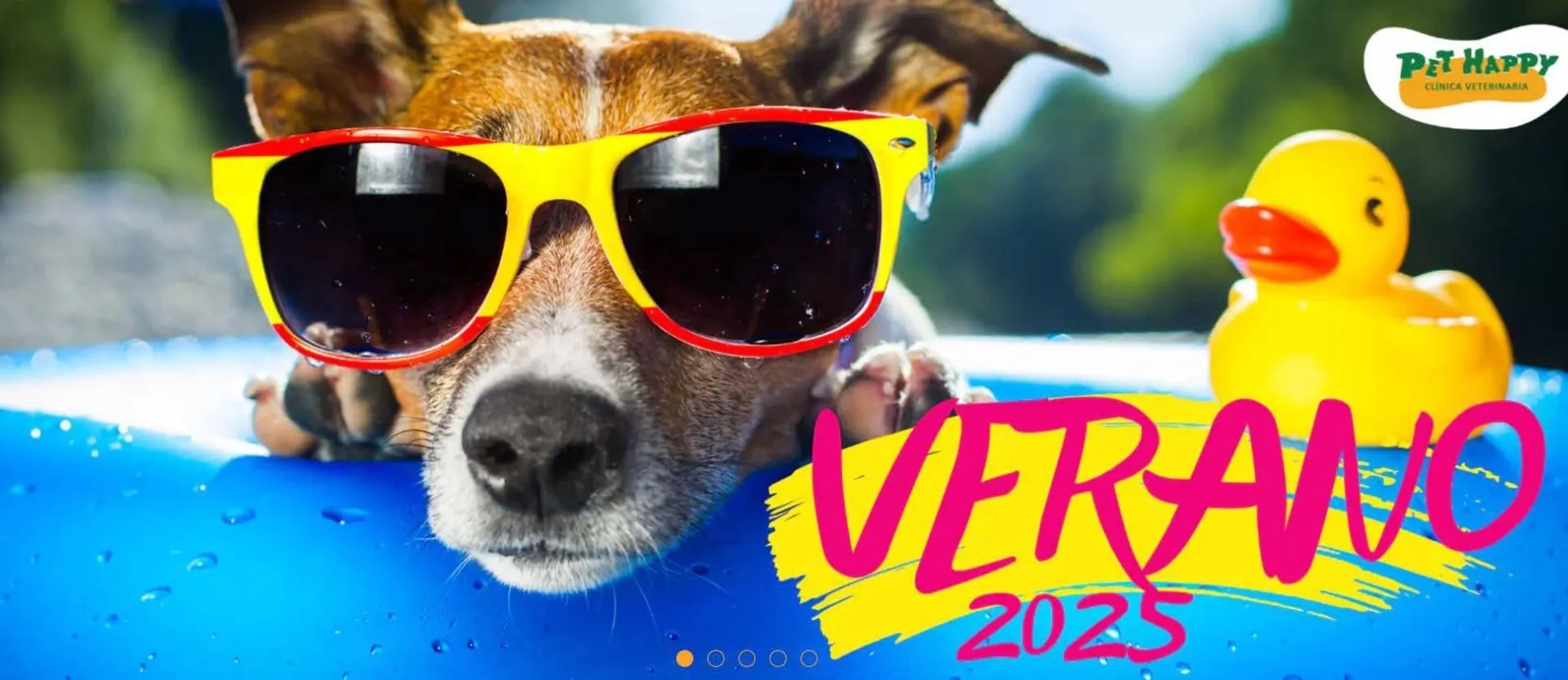 Catálogo de Catálogo Pet Happy 3 de enero al 18 de enero 2025 - Página 1