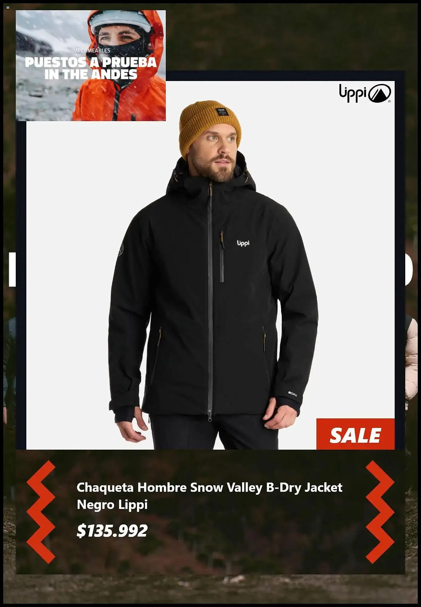 Catálogo de Catálogo Lippi 16 de junio al 15 de julio 2025 - Página 5