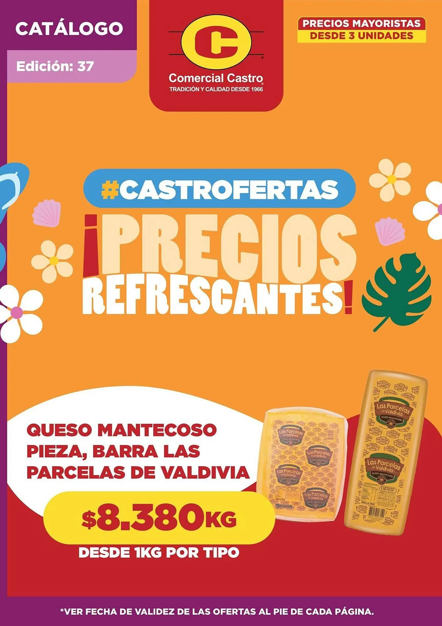 Catálogo de Catálogo Comercial Castro 22 de enero al 6 de febrero 2025 - Página 1