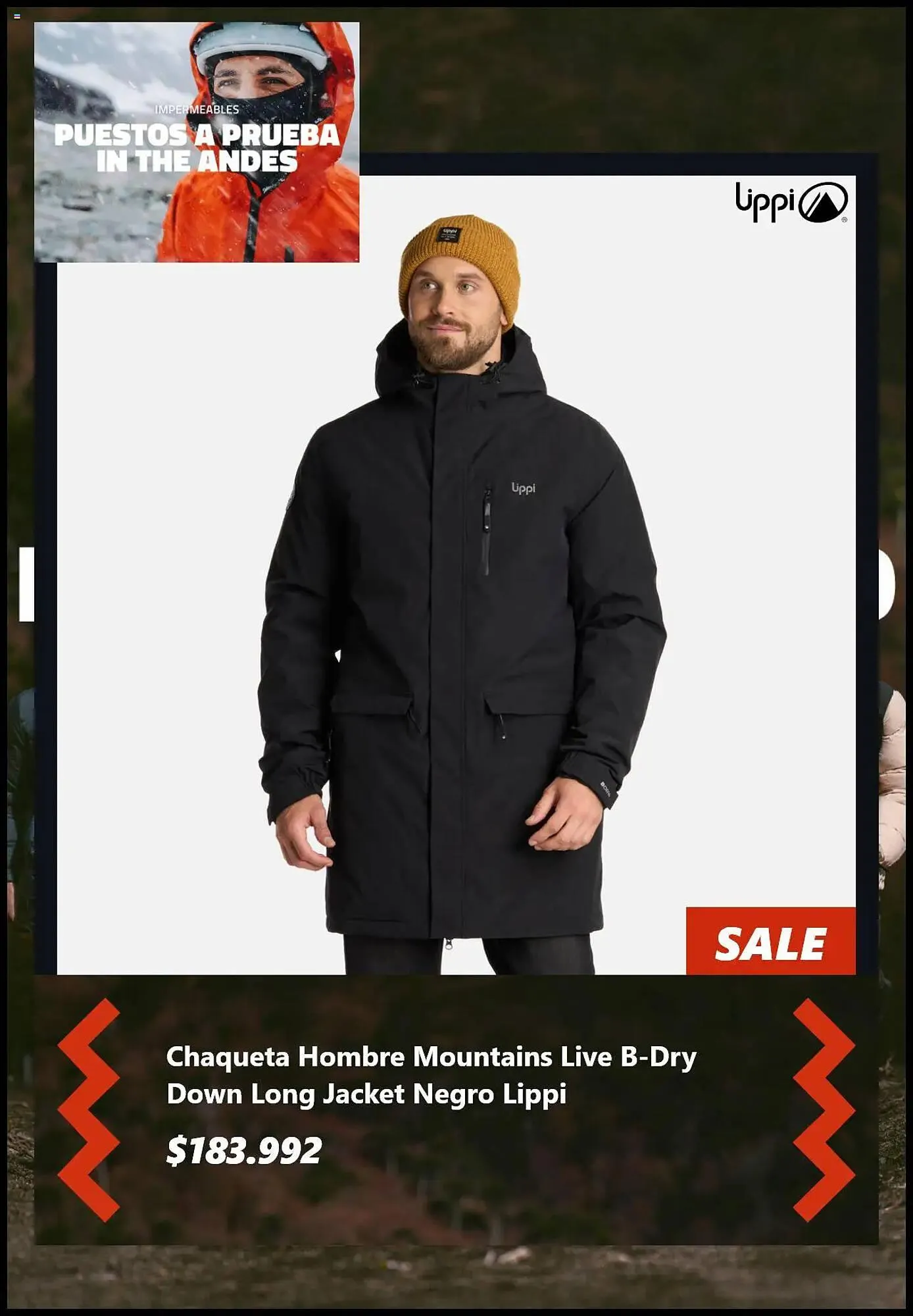 Catálogo de Catálogo Lippi 16 de junio al 15 de julio 2025 - Página 2