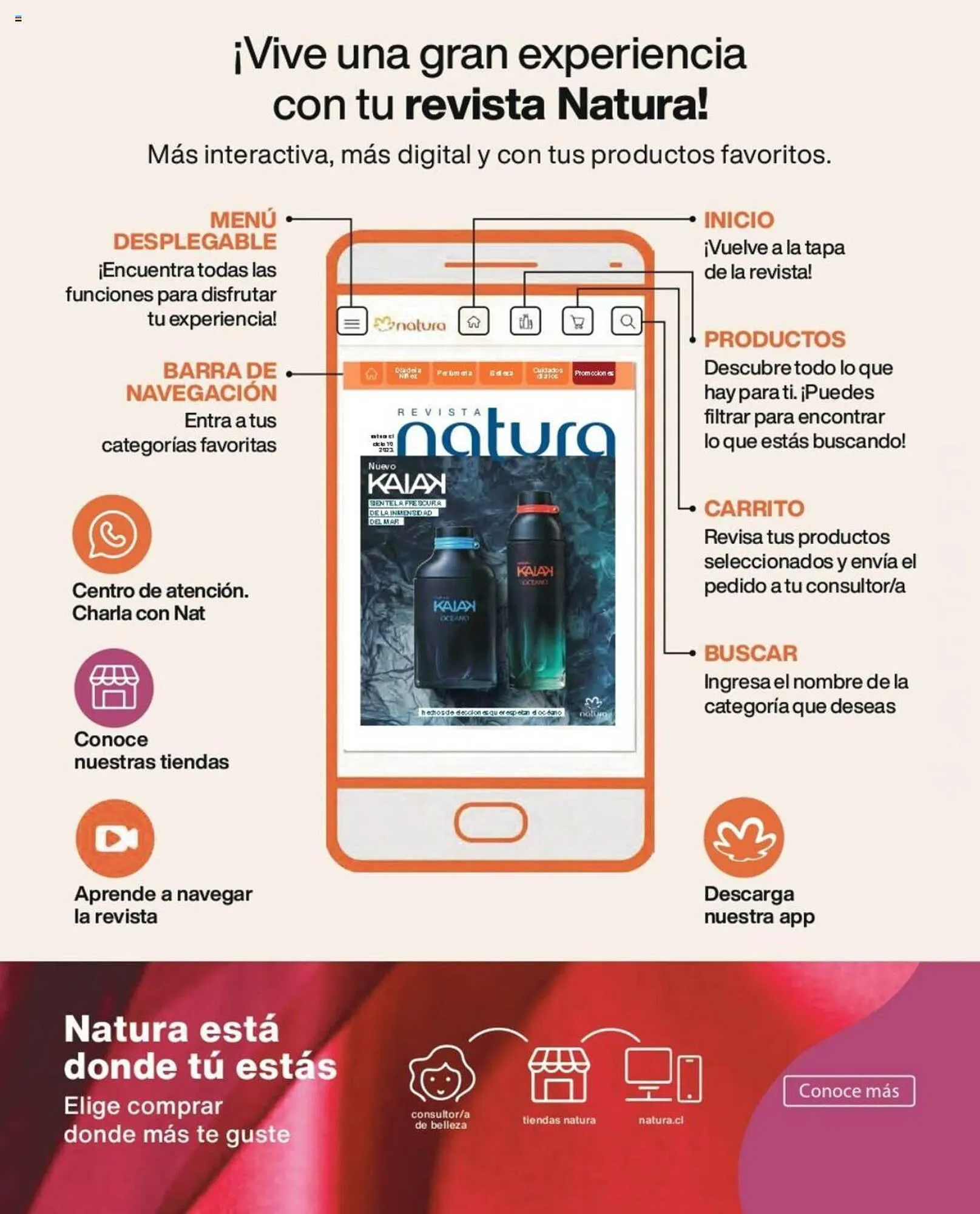 Catálogo de Catálogo Natura 1 de julio al 31 de octubre 2023 - Página 6