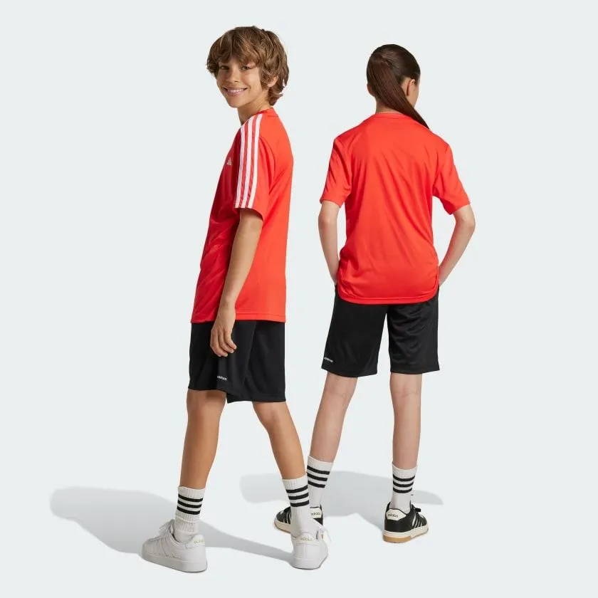 Conjunto Training Essentials AEROREADY 3 Tiras
