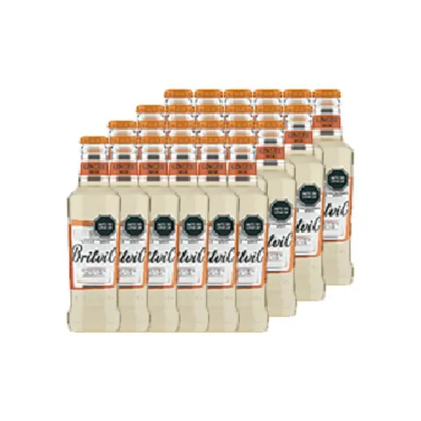 Britvic Ginger Beer 200cc x24