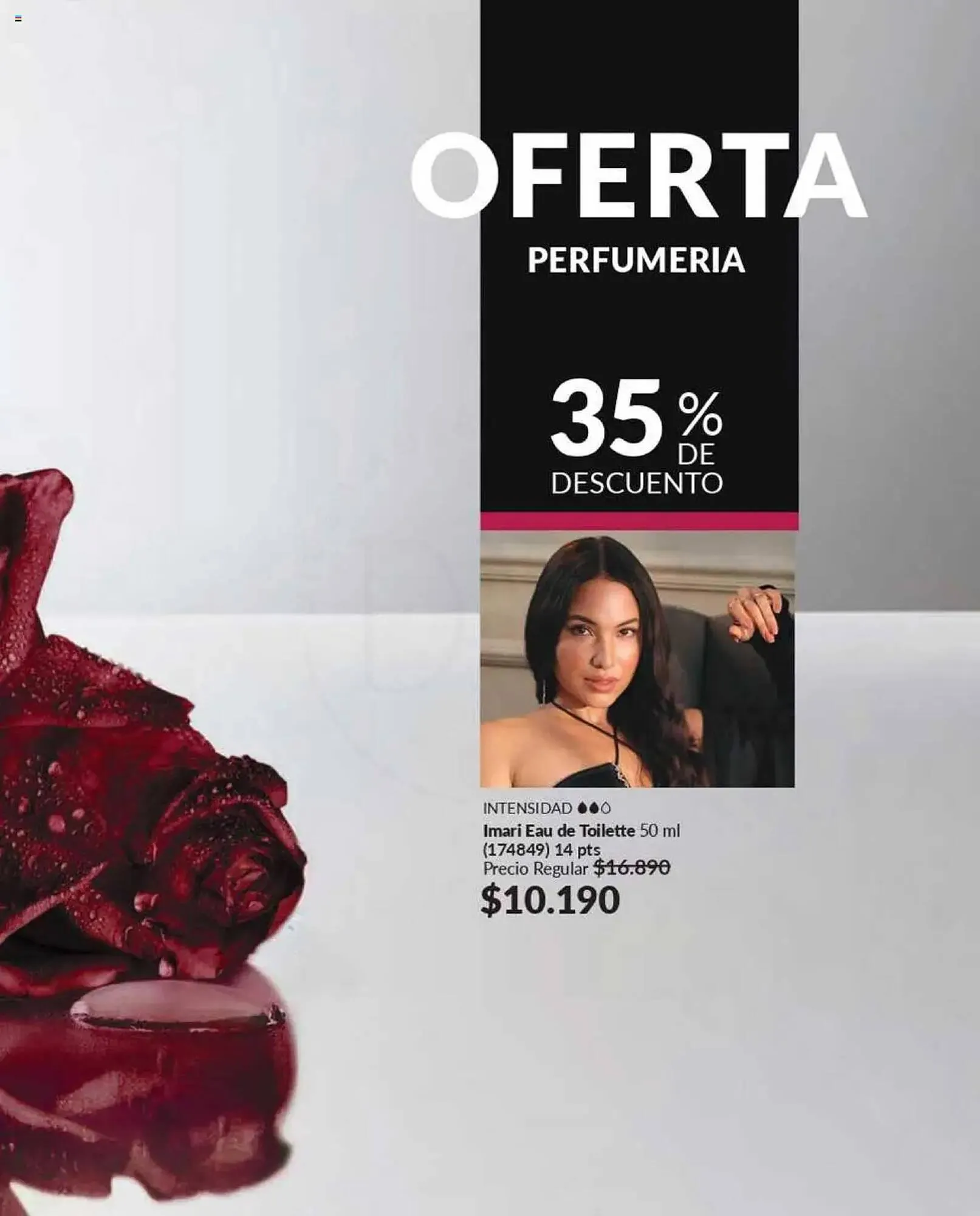 Catálogo de Catálogo Avon 1 de febrero al 15 de febrero 2025 - Página 51