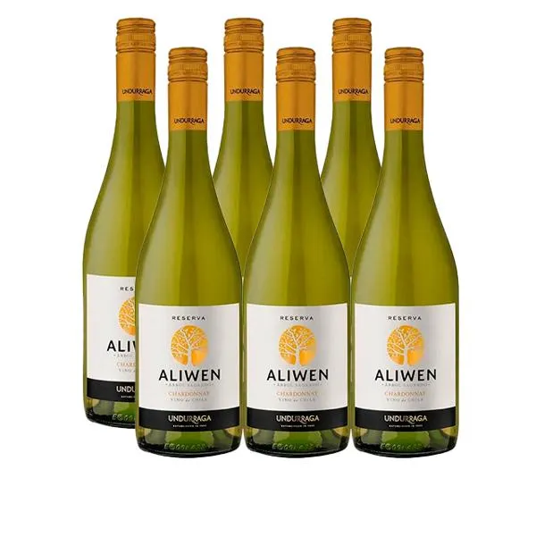 Vino Aliwen Chardonnay Botella 750cc x6
