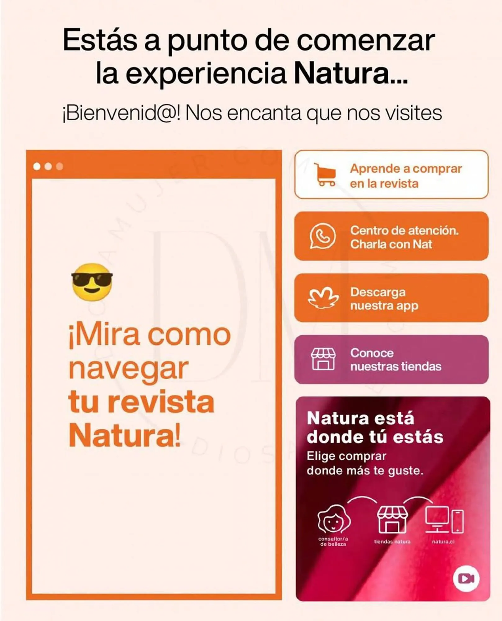 Catálogo de Catálogo Natura 1 de enero al 20 de enero 2024 - Página 2