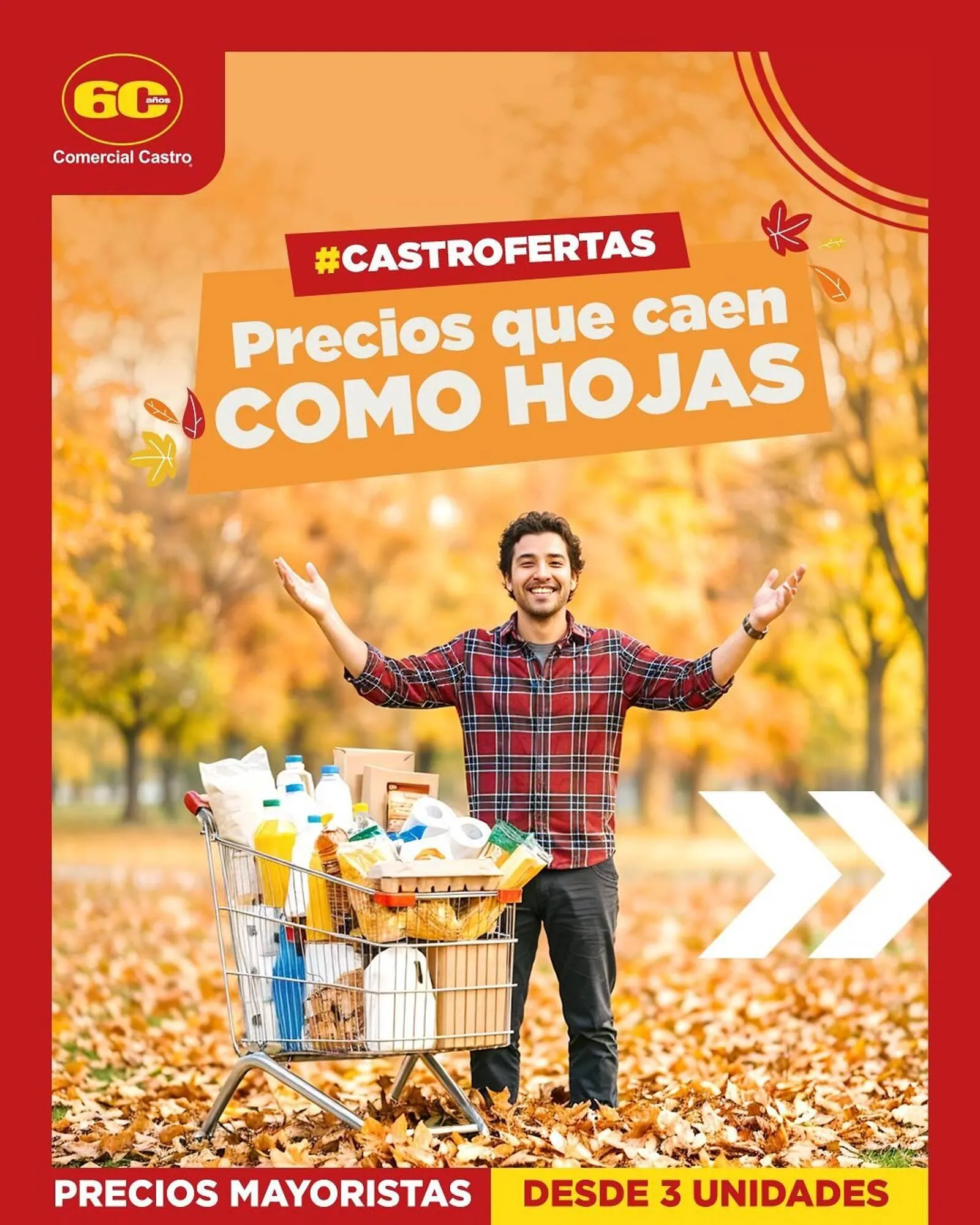 Catálogo de Catálogo Comercial Castro 4 de mayo al 31 de mayo 2026 - Página 1