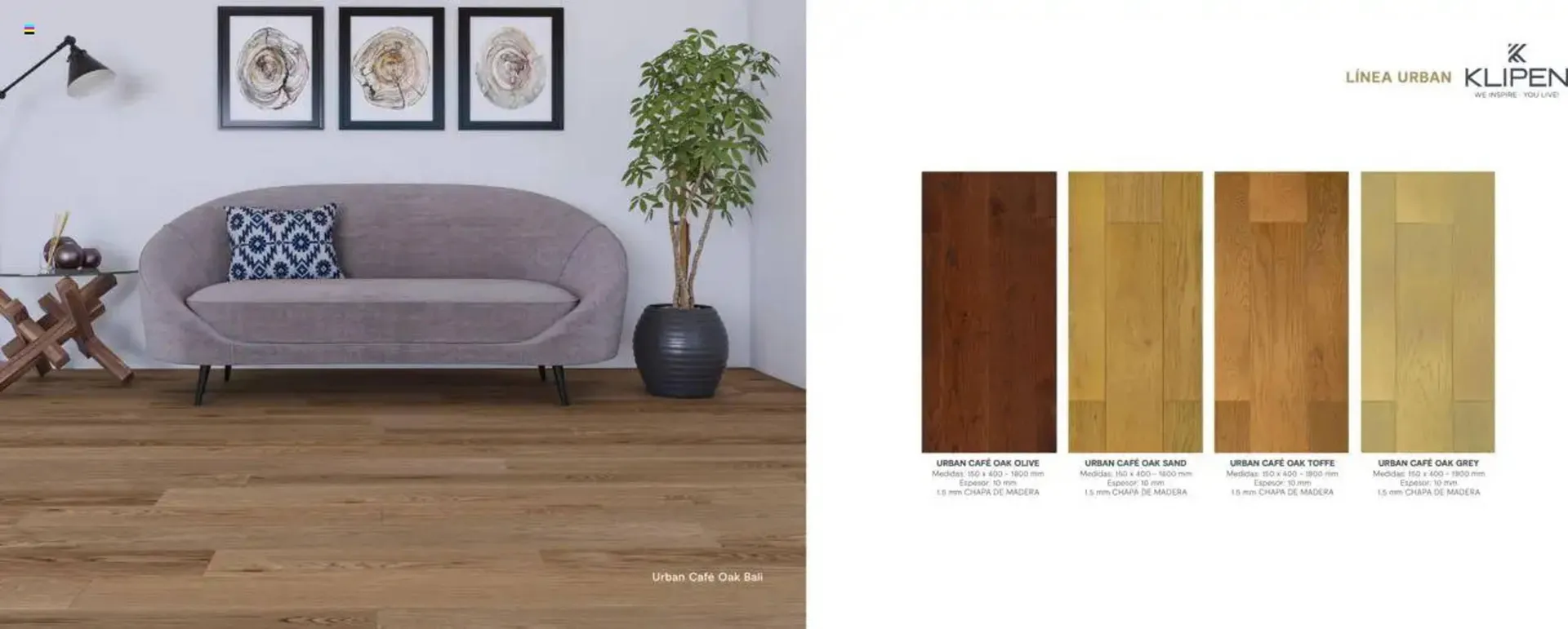 Catálogo de Catálogo Mk 22 de julio al 1 de enero 2026 - Página 11