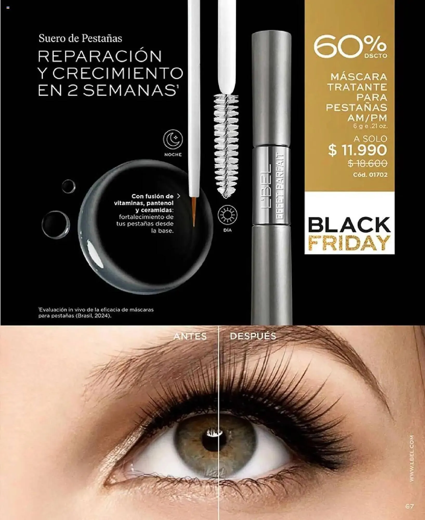 Catálogo de Catálogo L'Bel 14 de octubre al 1 de noviembre 2025 - Página 67