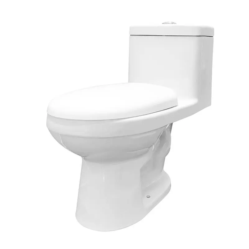 Sanitario One Piece Aria Doble Pulsador Descarga A Piso 30 cm