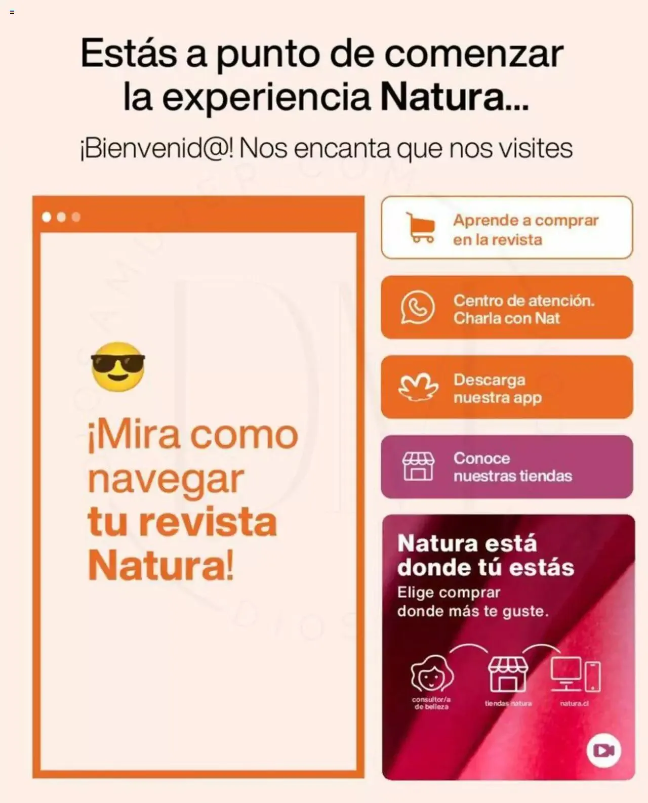 Catálogo de Natura catálogo 12 de febrero al 31 de diciembre 2024 - Página 41