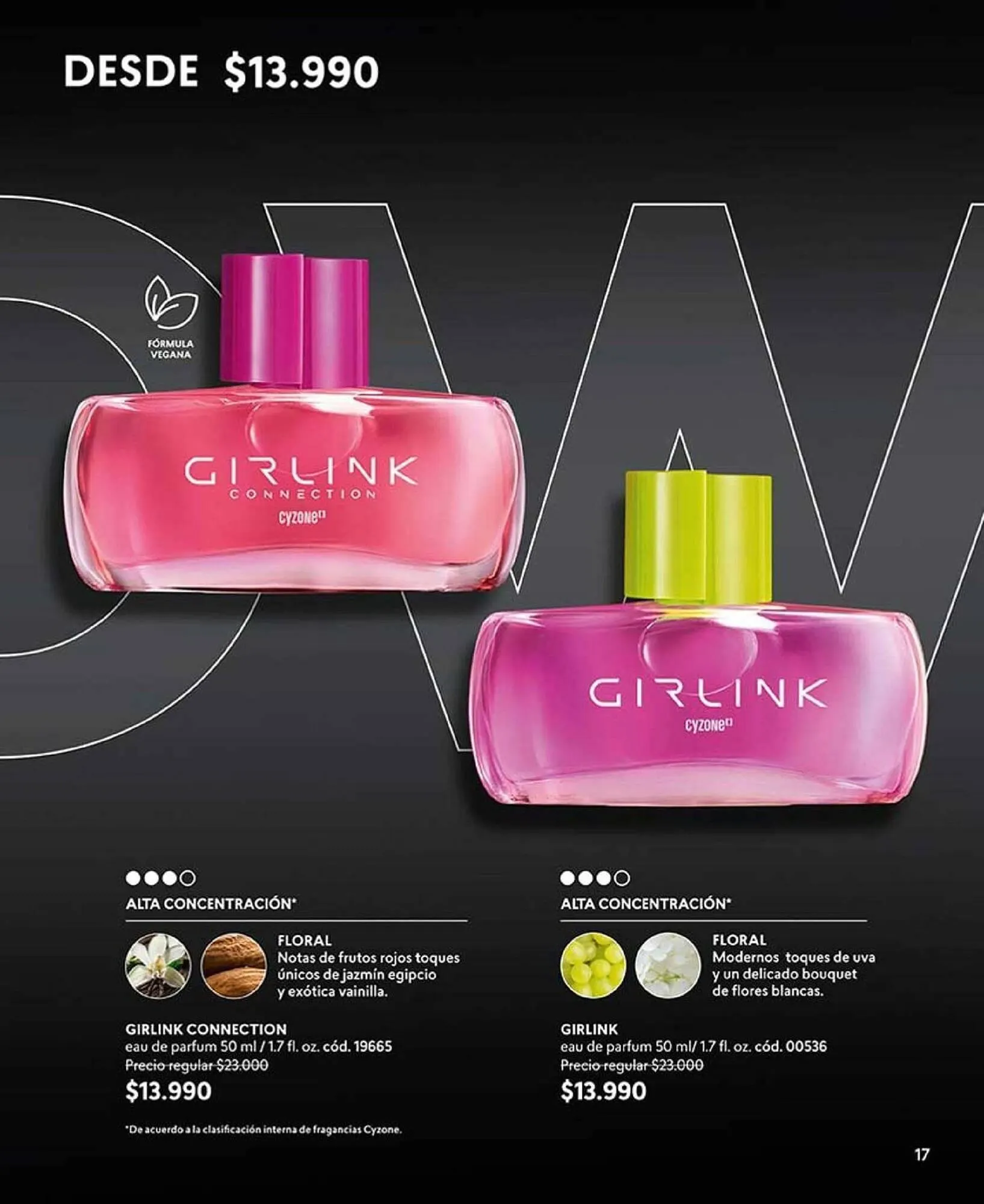 Catálogo de Catálogo Cyzone 25 de marzo al 31 de mayo 2025 - Página 17