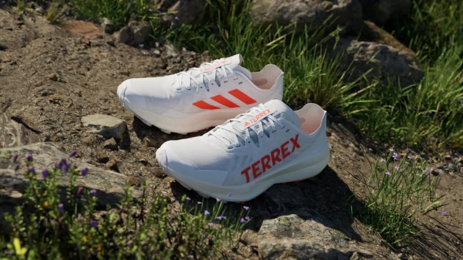 Zapatillas de Trail Running Terrex Agravic Speed