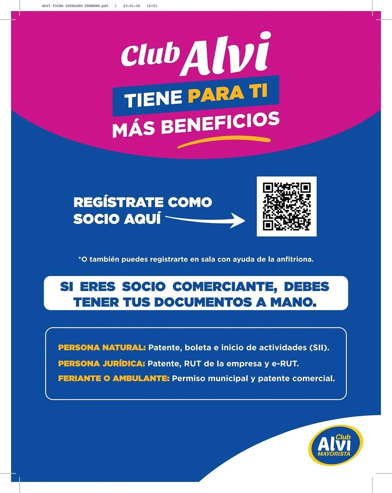 Catálogo de Catálogo Alvi 11 de febrero al 24 de marzo 2026 - Página 12