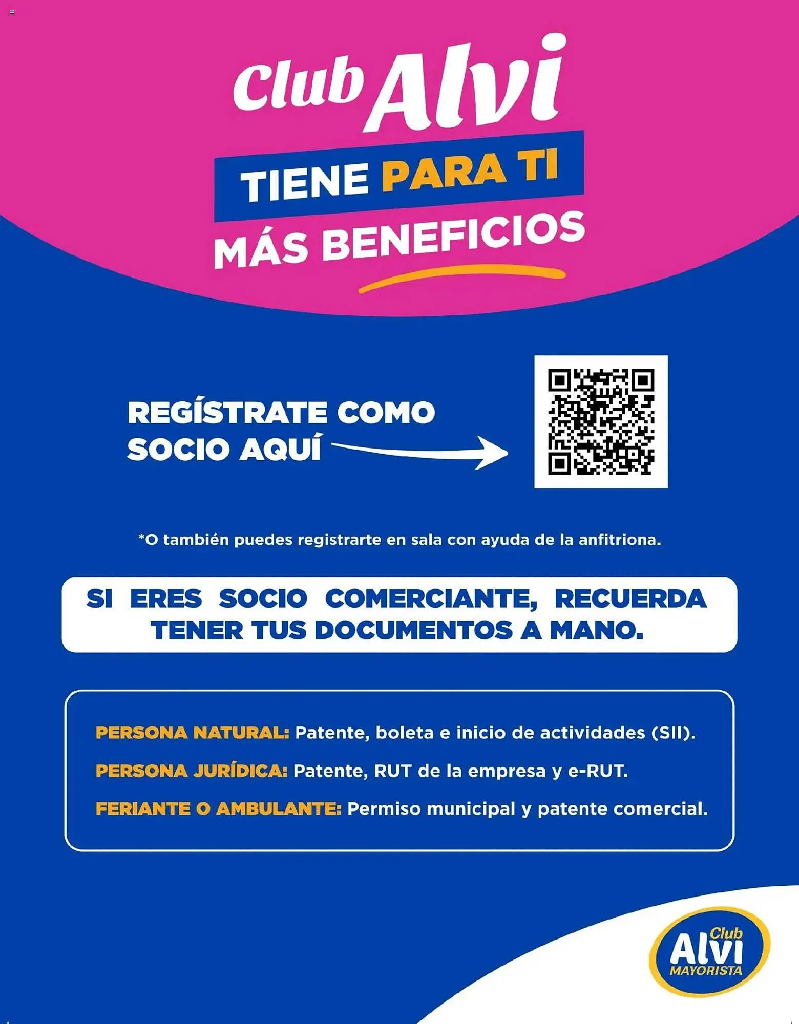 Catálogo de Catálogo Alvi 14 de enero al 10 de febrero 2026 - Página 11