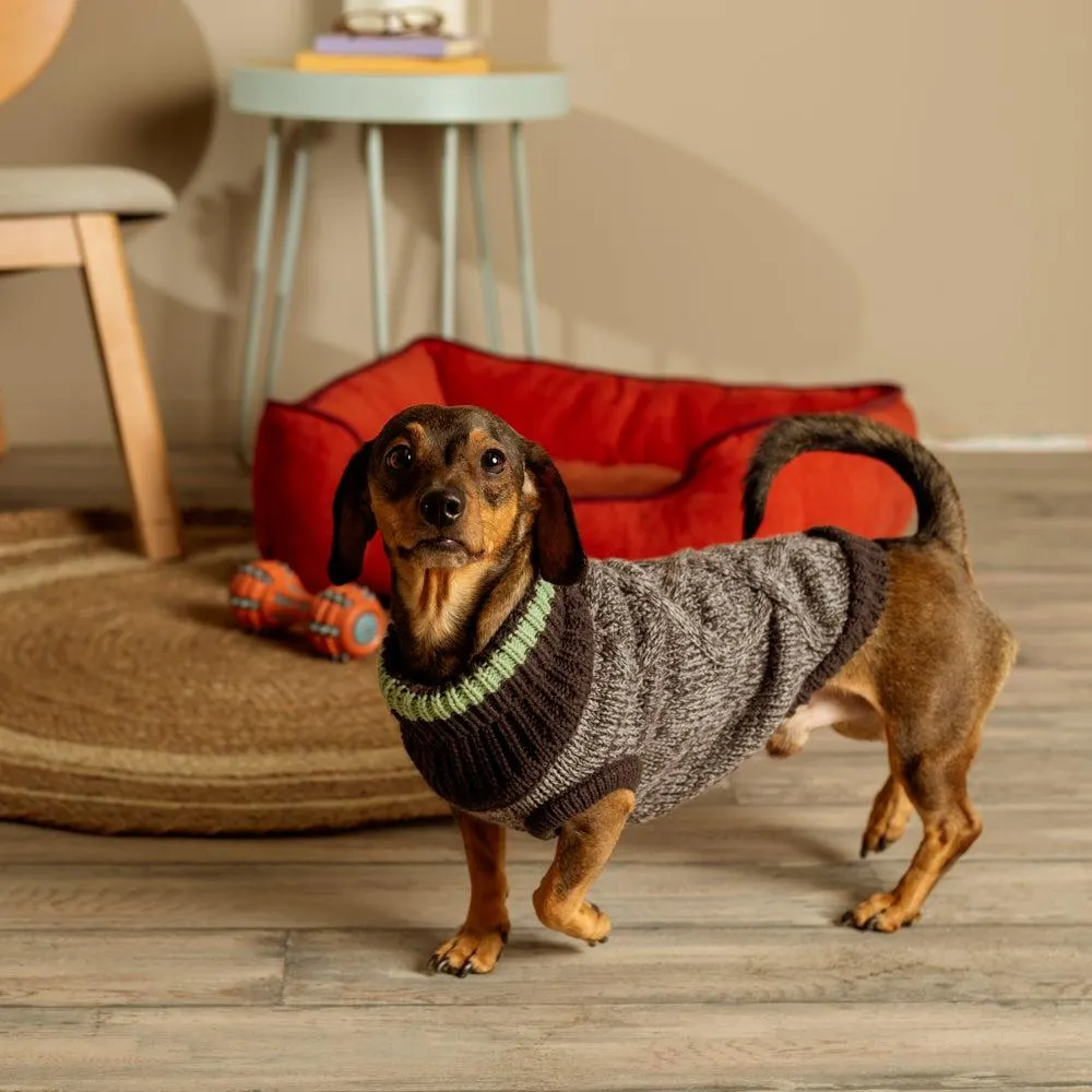 Chaleco tejido para mascota S