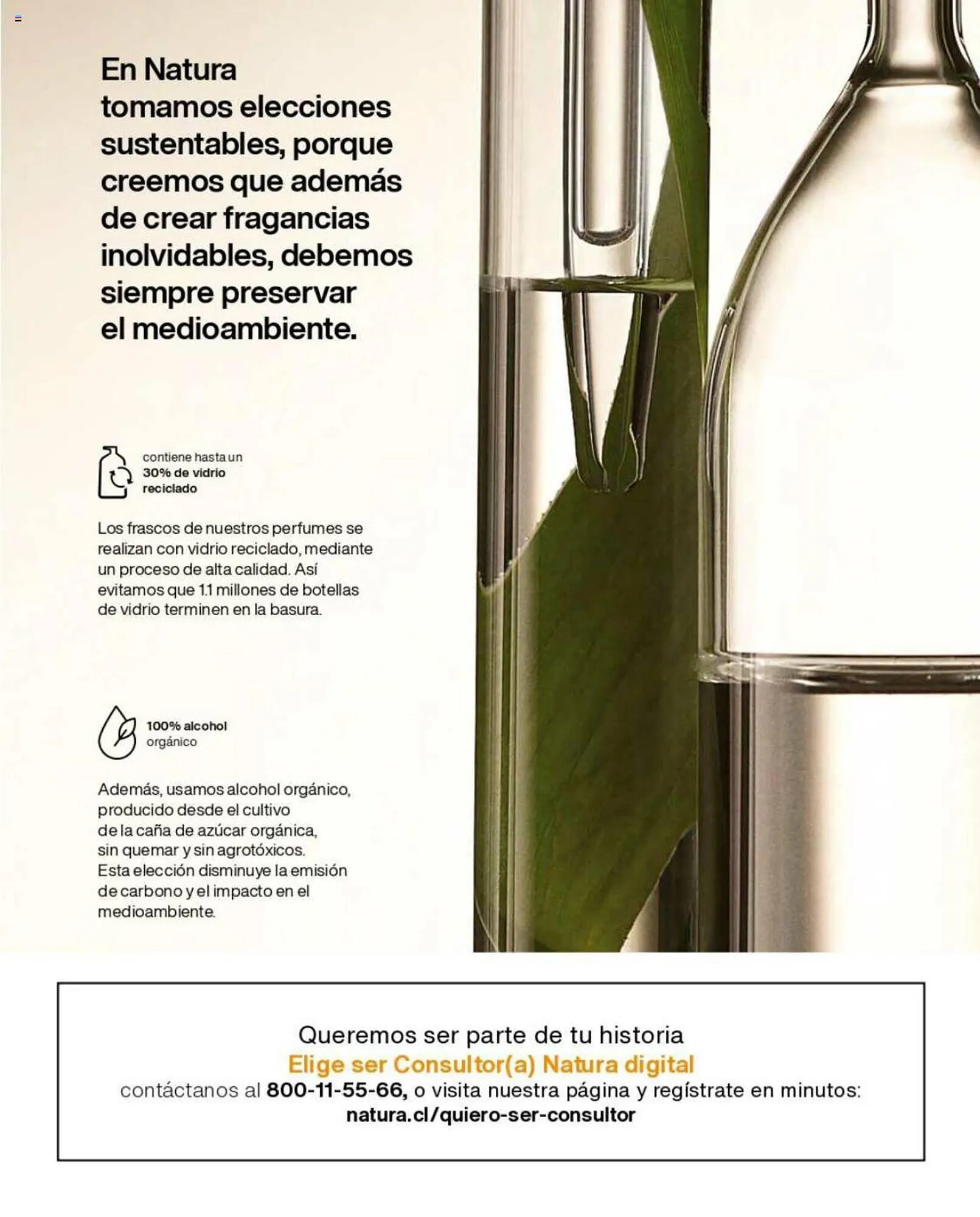 Catálogo de Catálogo Natura 1 de agosto al 31 de agosto 2023 - Página 173