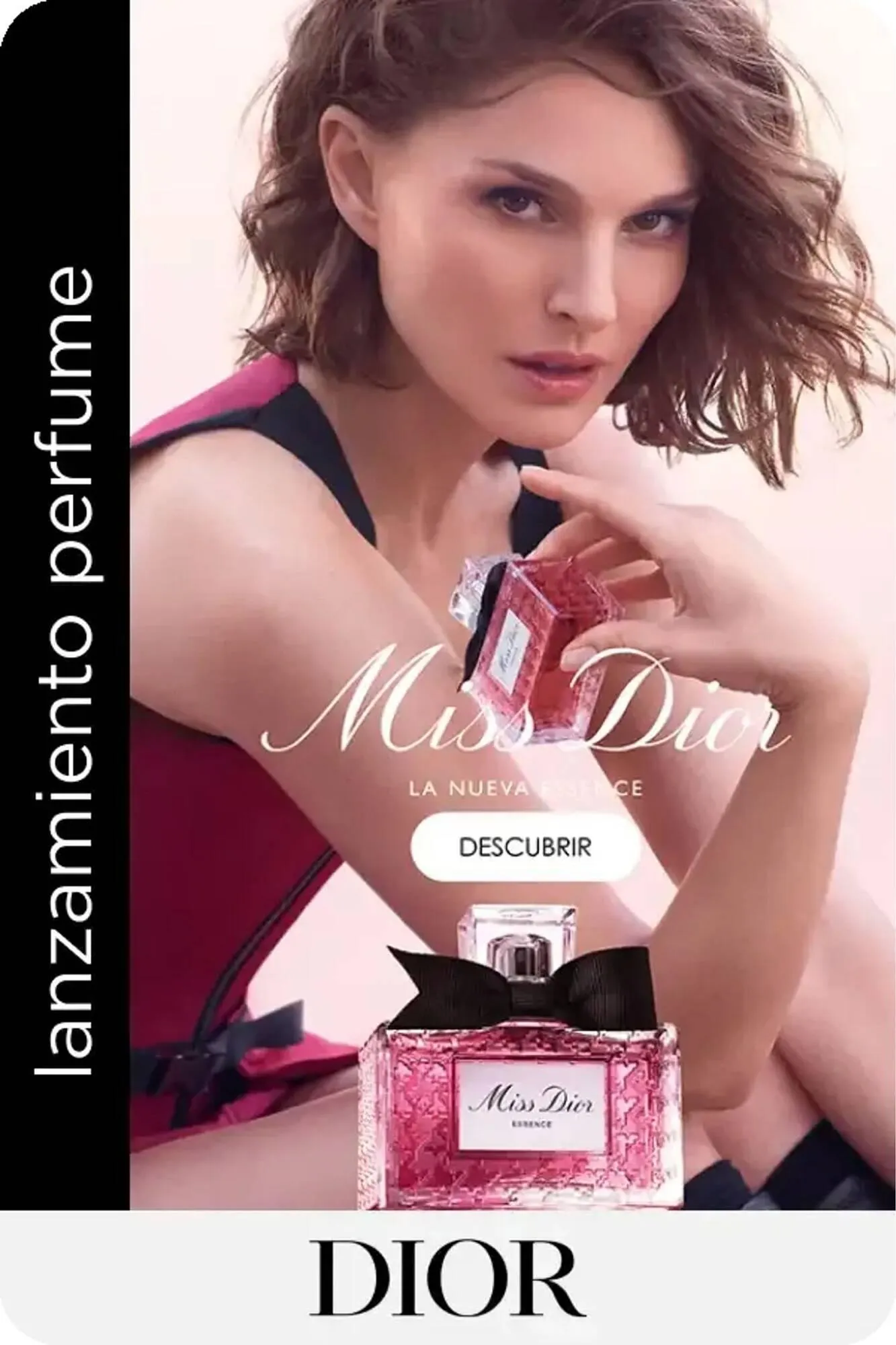 Catálogo Ripley - 1