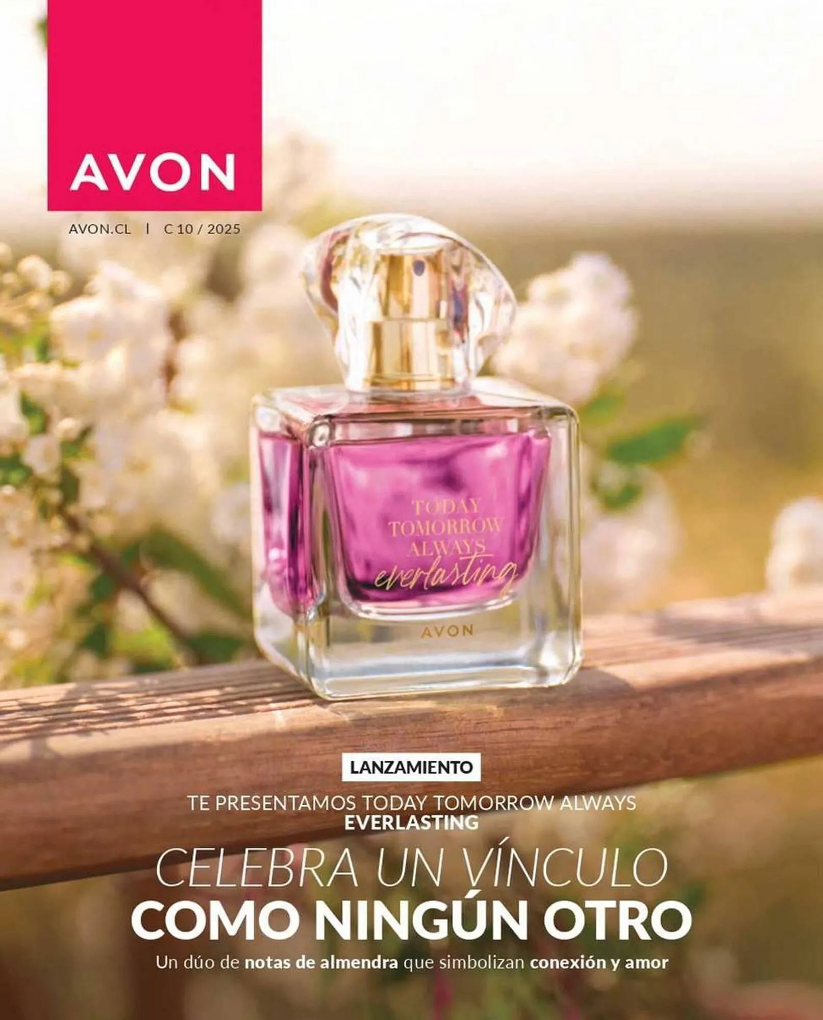 Catálogo Avon - 1