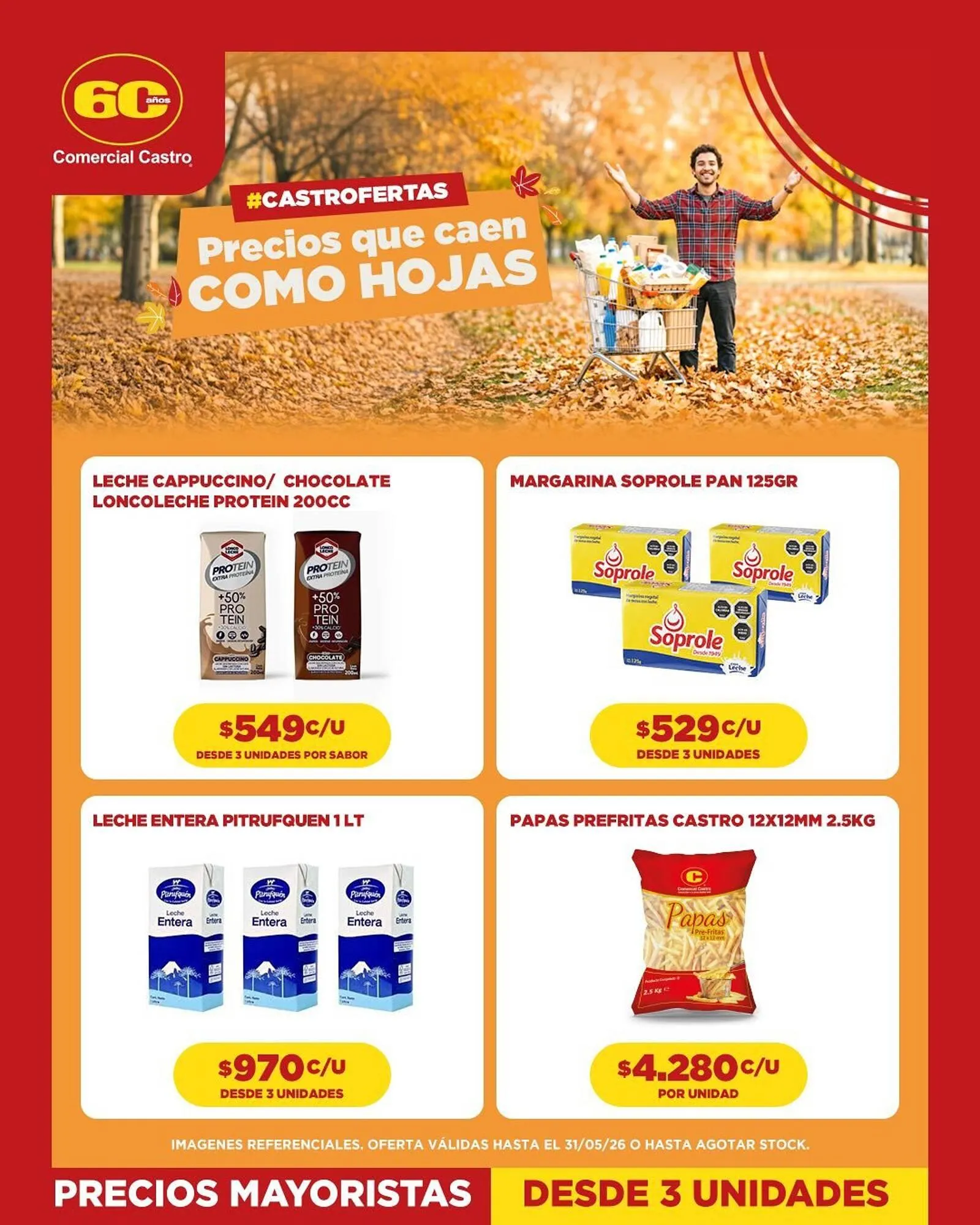 Catálogo de Catálogo Comercial Castro 4 de mayo al 31 de mayo 2026 - Página 2