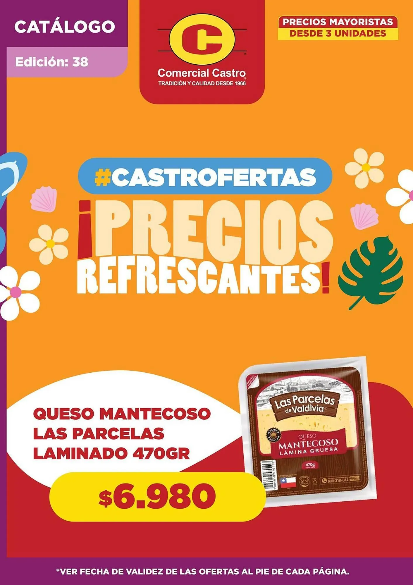 Catálogo Comercial Castro - 1