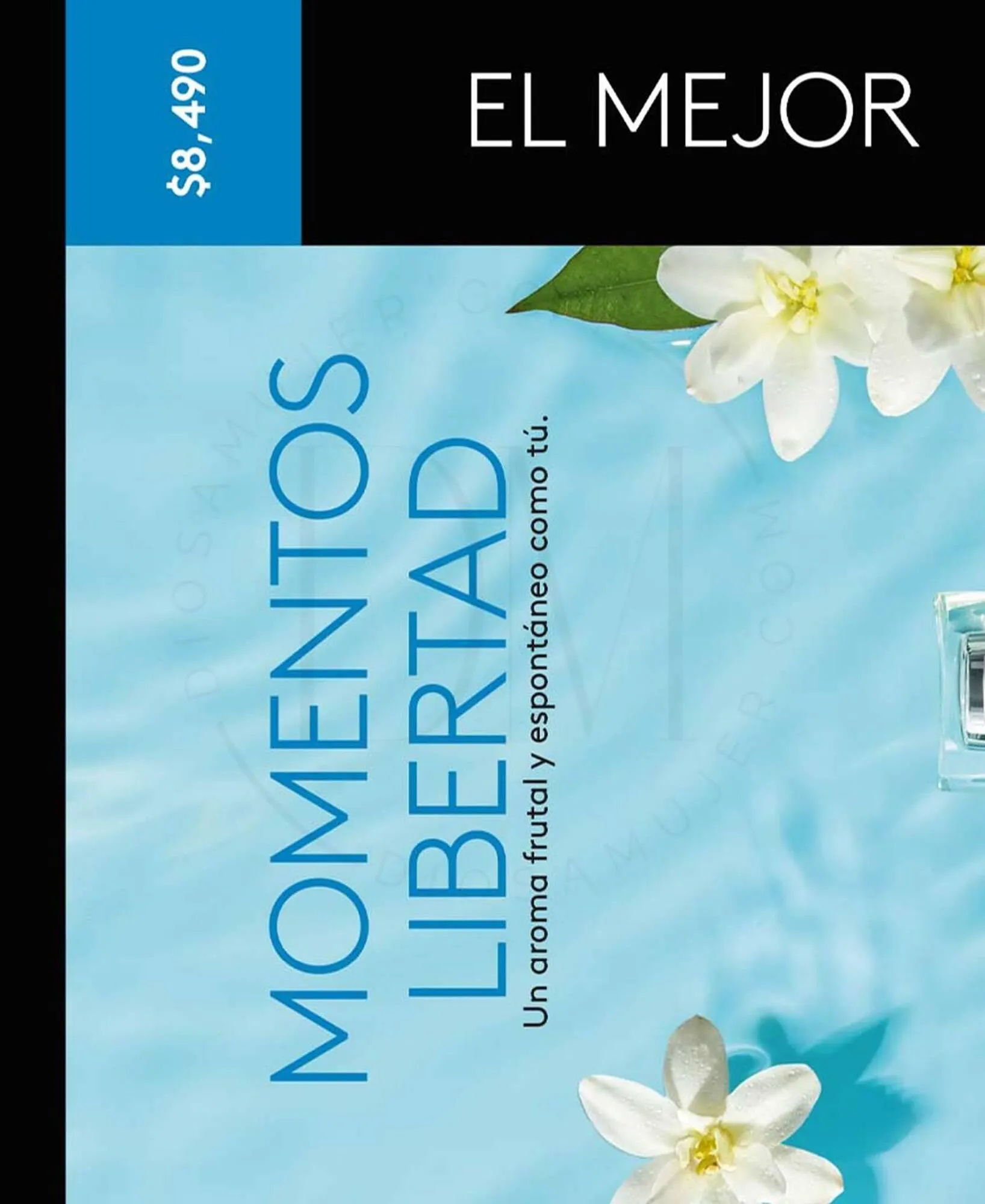 Catálogo de Catálogo Ésika 1 de diciembre al 16 de enero 2024 - Página 36