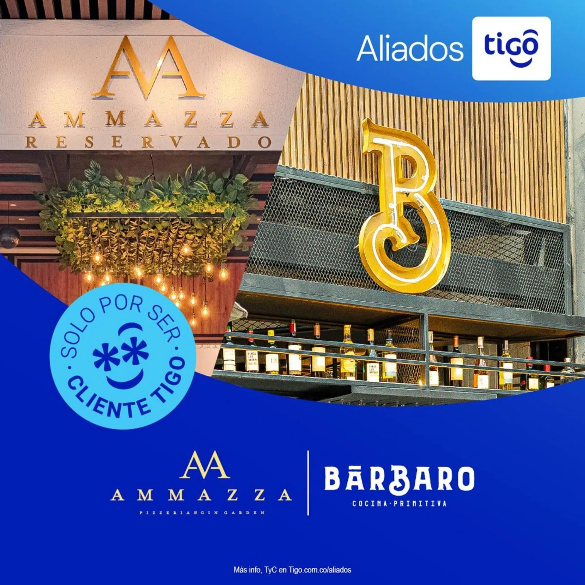 Catalogo de Catálogo Tigo 19 de diciembre al 21 de diciembre 2025 - Pag 2