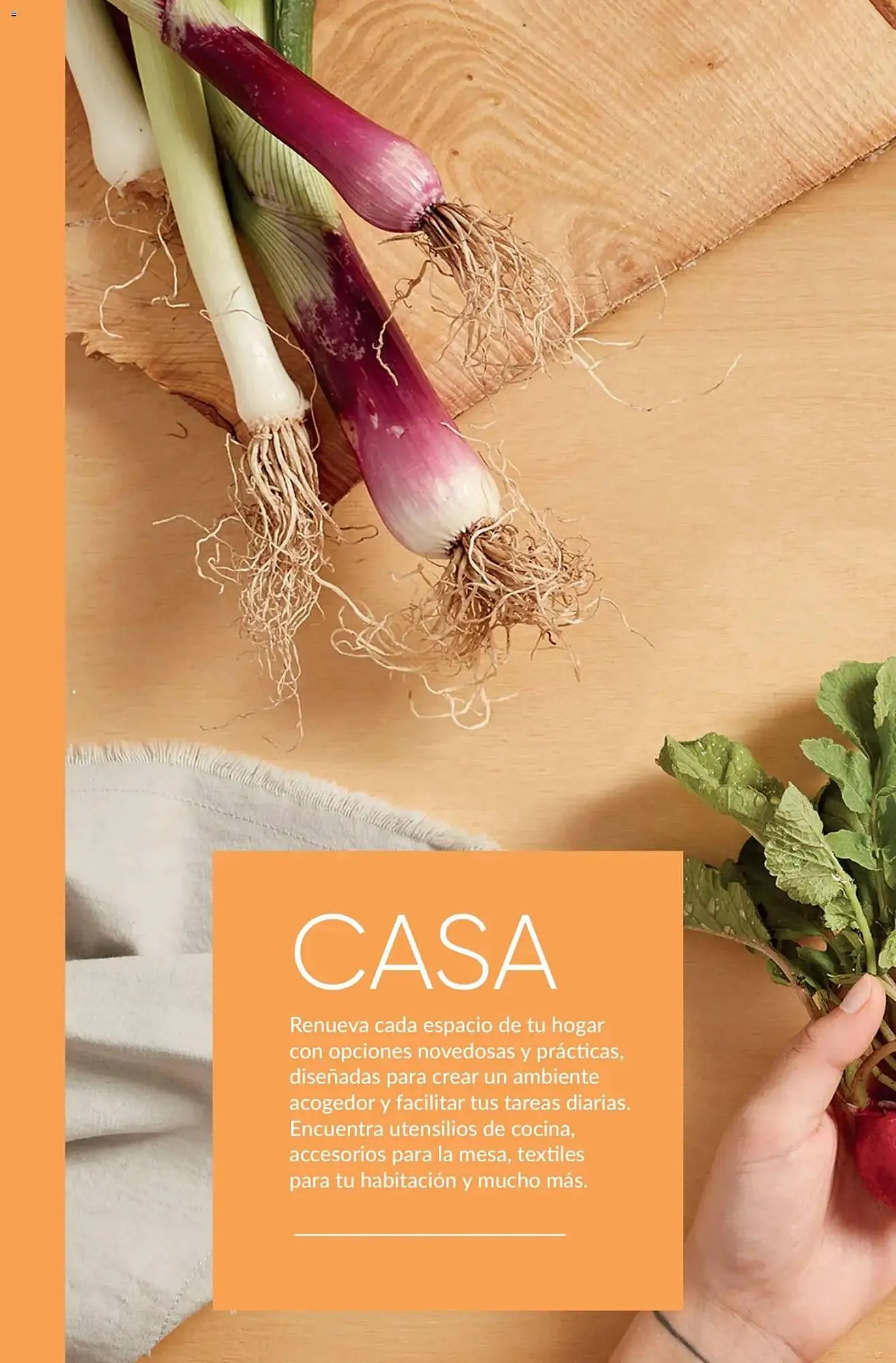 Catalogo de Catálogo Avon 2 de enero al 31 de enero 2026 - Pag 27