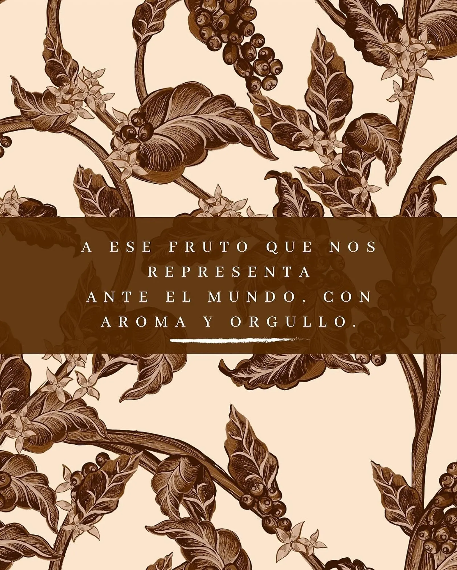 Catalogo de Catálogo HOSSH 4 de julio al 31 de julio 2025 - Pag 4