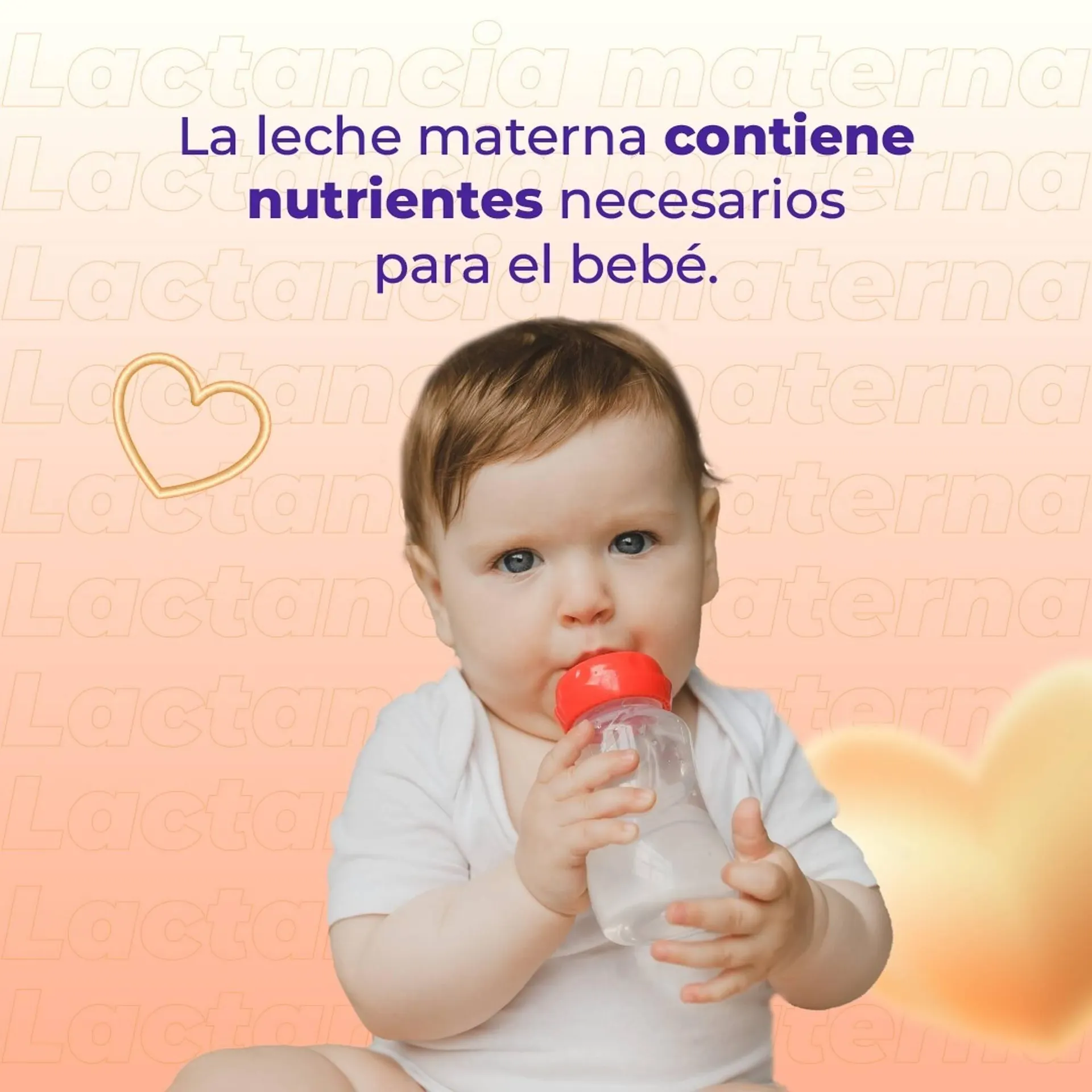 Catalogo de Catálogo Farmacenter 1 de agosto al 5 de agosto 2025 - Pag 2