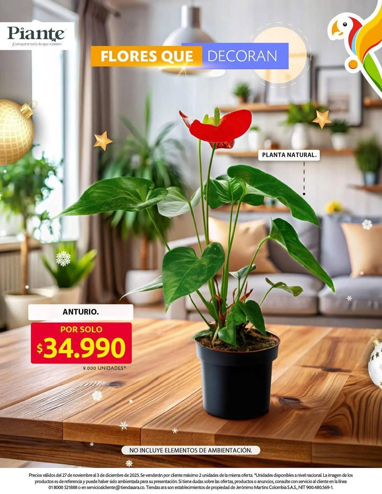 Catalogo de Catálogo Ara 27 de noviembre al 3 de diciembre 2025 - Pag 15