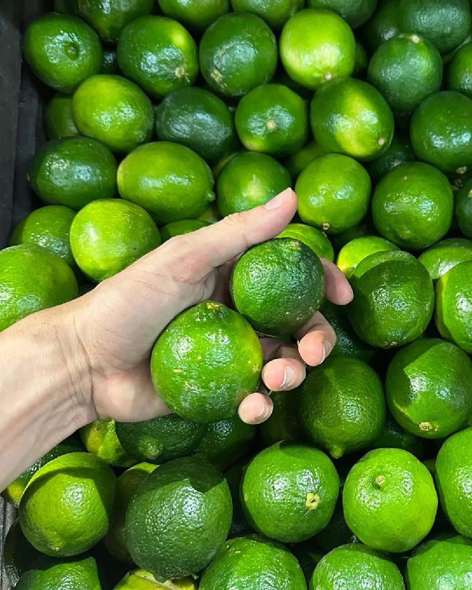 Catalogo de Catálogo Carulla 29 de abril al 5 de mayo 2025 - Pag 5