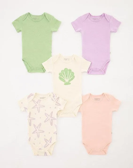 Tiempos de entrega: Desde 3 hasta 6 días hábiles.