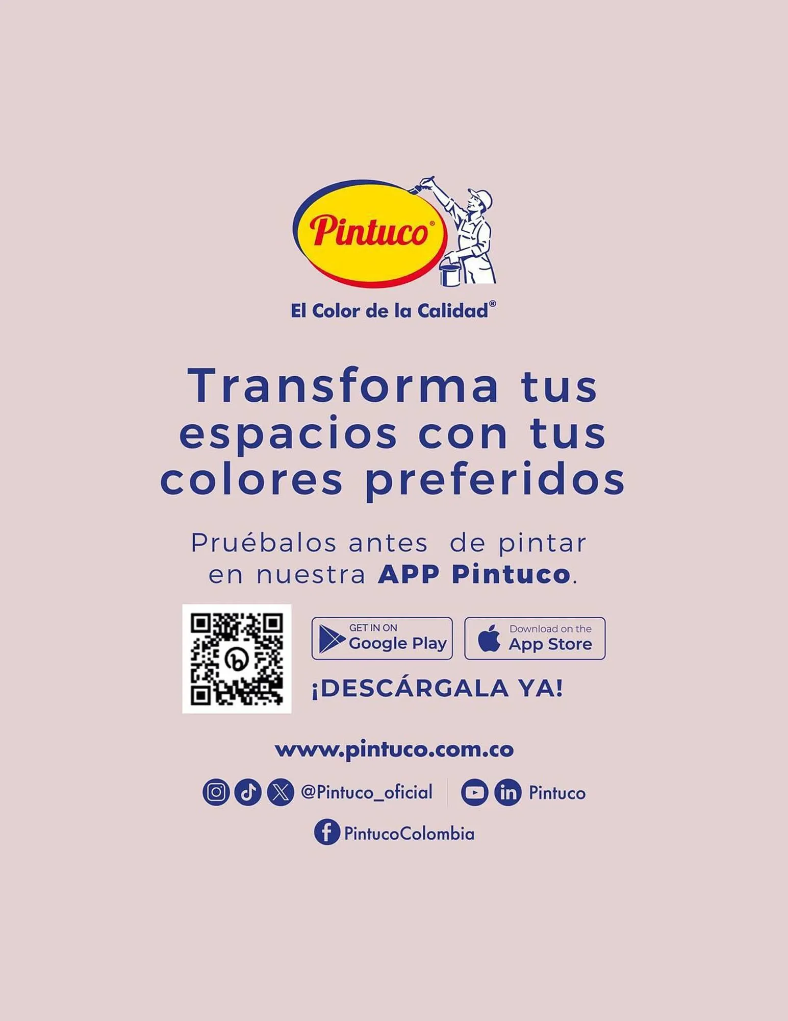 Catalogo de Catálogo Pintuco 15 de enero al 31 de diciembre 2024 - Pag 12