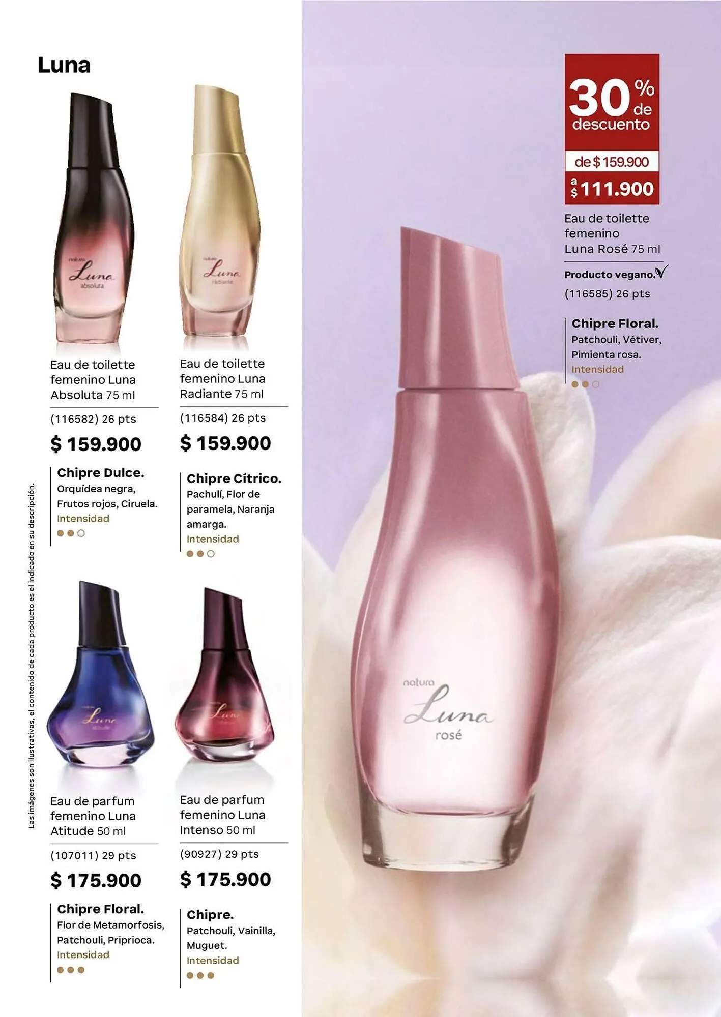 Catalogo de Catálogo Natura 1 de mayo al 31 de mayo 2026 - Pag 51