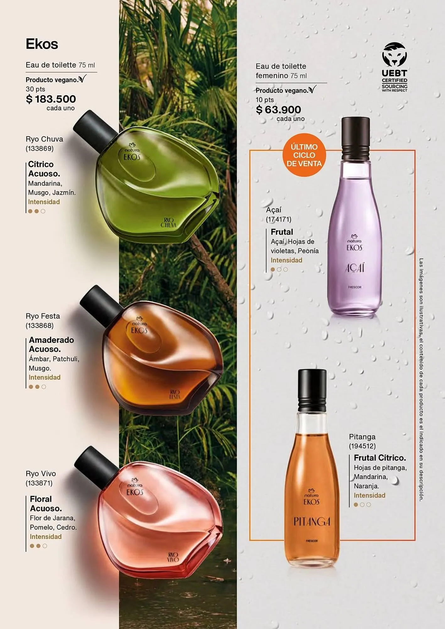 Catalogo de Catálogo Natura 1 de marzo al 31 de marzo 2026 - Pag 31