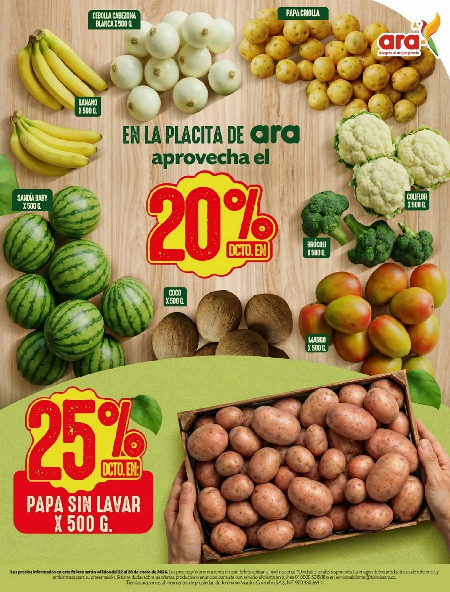 Catalogo de Catálogo Ara 22 de enero al 31 de enero 2026 - Pag 14