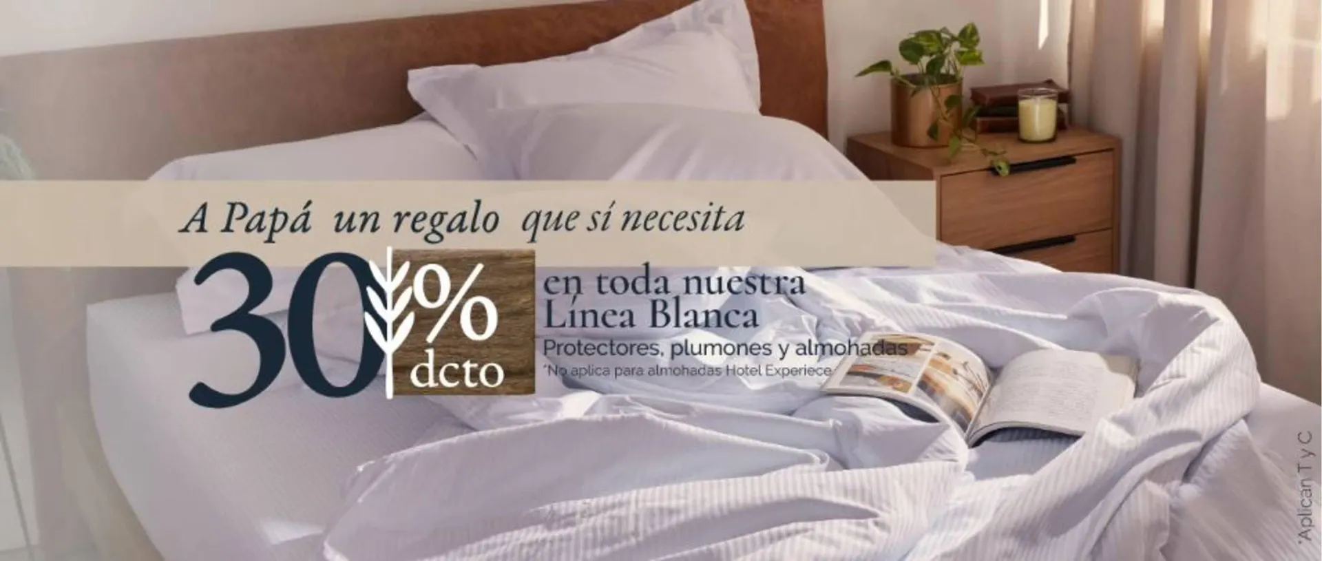 Catalogo de Catálogo Distrihogar 5 de junio al 15 de junio 2025 - Pag 1