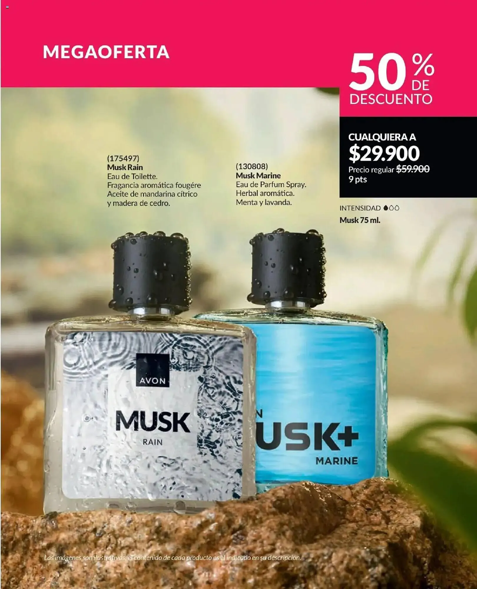 Catalogo de Catálogo Avon 1 de diciembre al 1 de enero 2026 - Pag 173