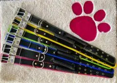 Collar De Intervencion