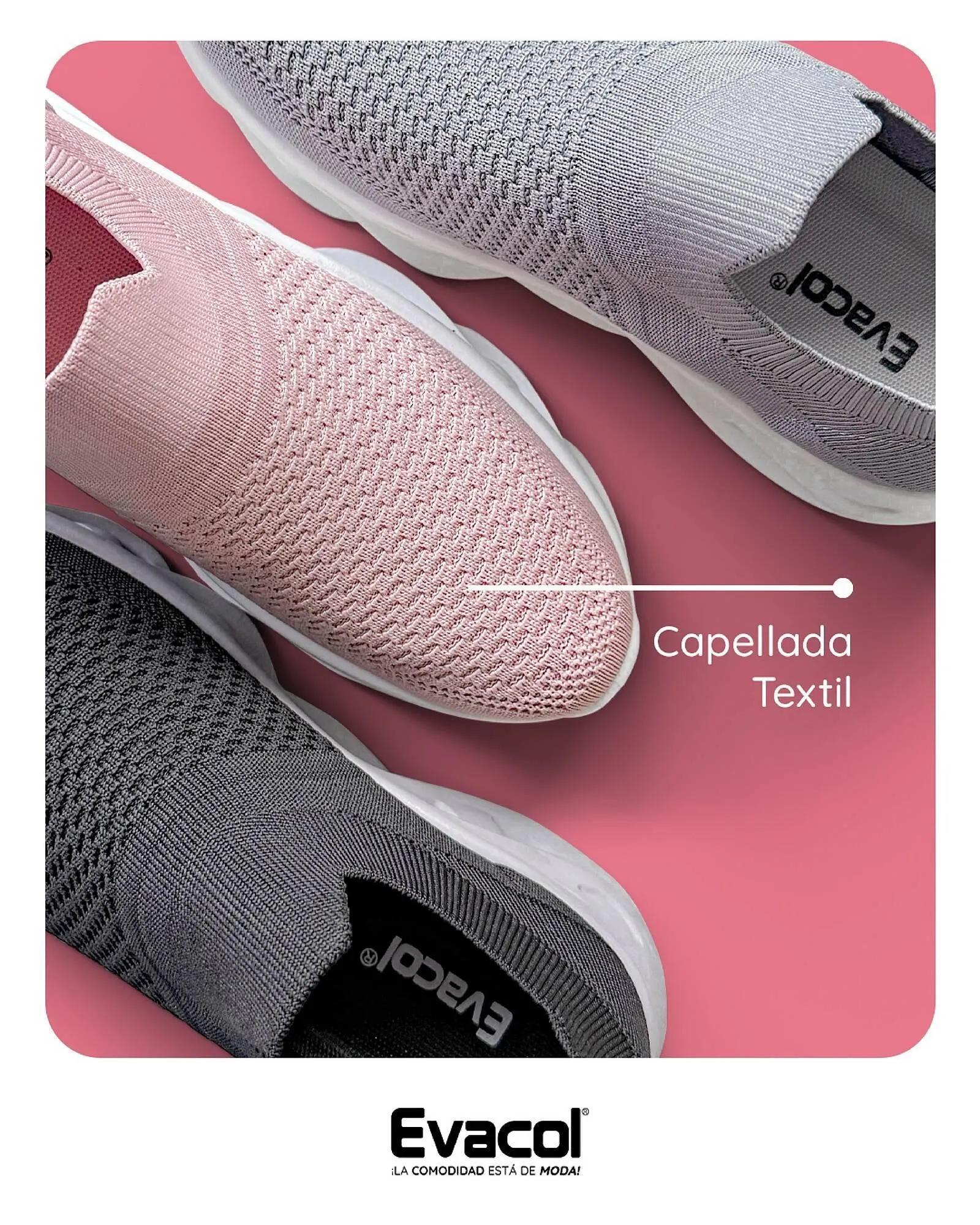 Catalogo de Catálogo Evacol 11 de marzo al 31 de marzo 2025 - Pag 4