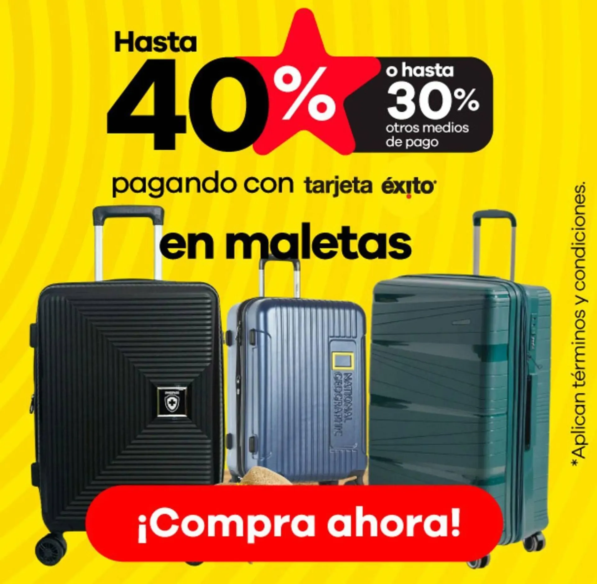 Catalogo de Catálogo Éxito 23 de enero al 7 de febrero 2025 - Pag 21