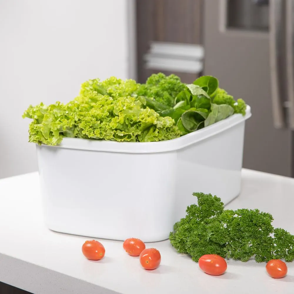 Recipiente Plastico Rectangular para congelacion 8L blanco