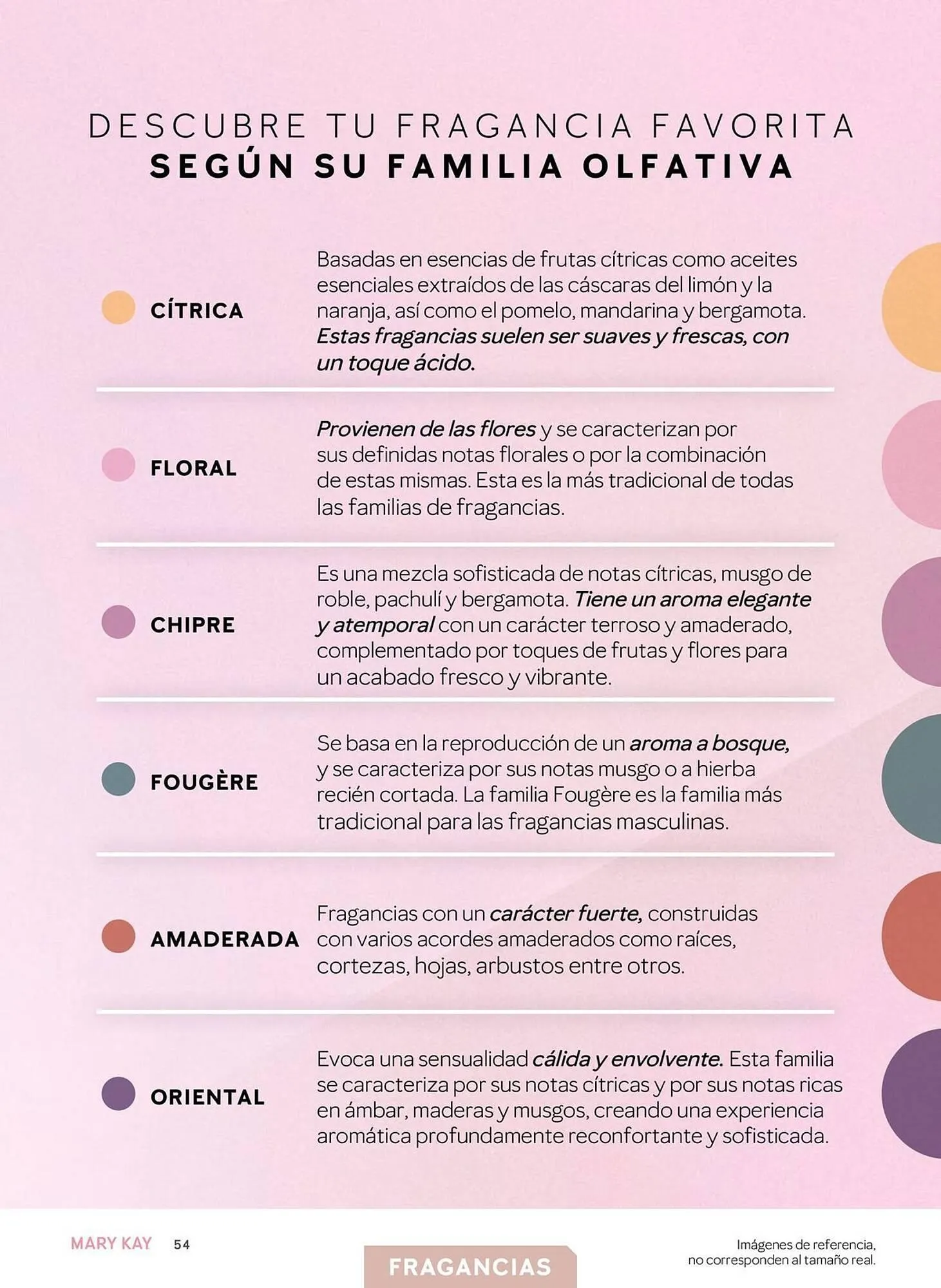 Catalogo de Catálogo Mary Kay 25 de marzo al 30 de abril 2025 - Pag 54