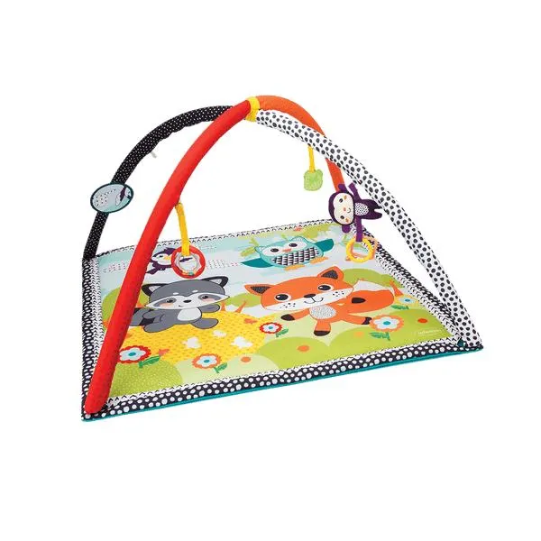 Gimnasio Actividades Safary -