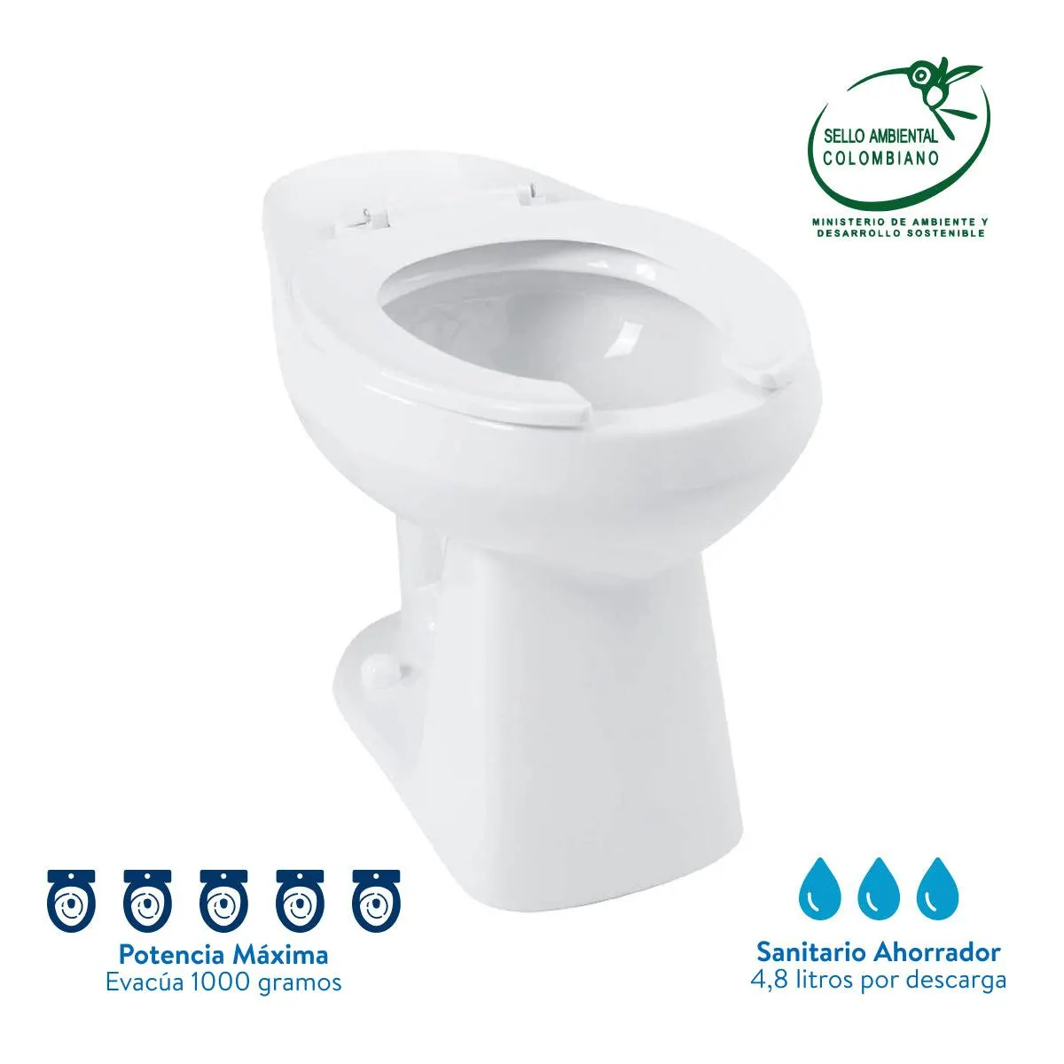 Taza Corona Adriática Entrada Posterior