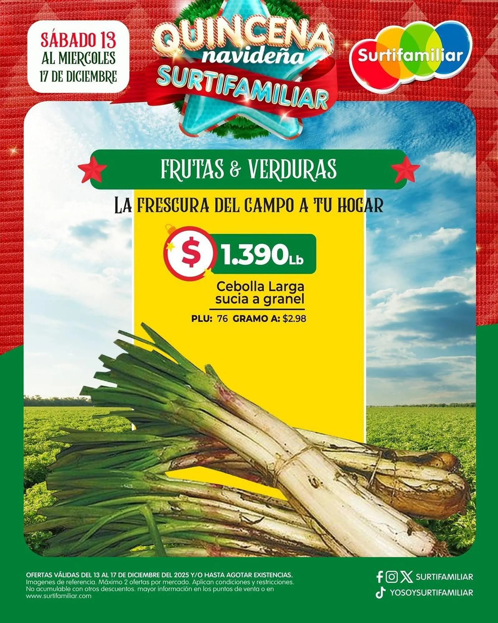 Catalogo de Catálogo Surtifamiliar 13 de diciembre al 17 de diciembre 2025 - Pag 3