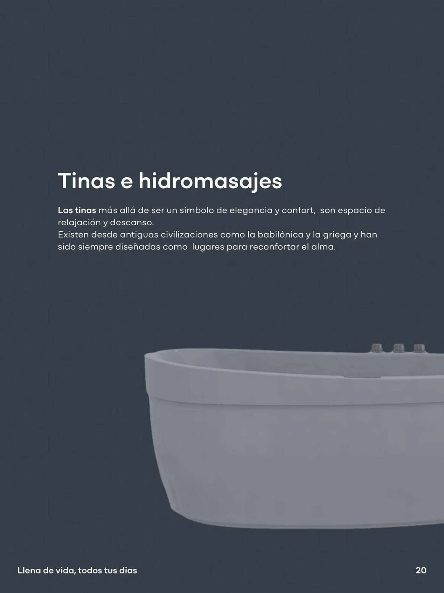 Catalogo de Catálogo Alfa 5 de julio al 31 de octubre 2024 - Pag 21