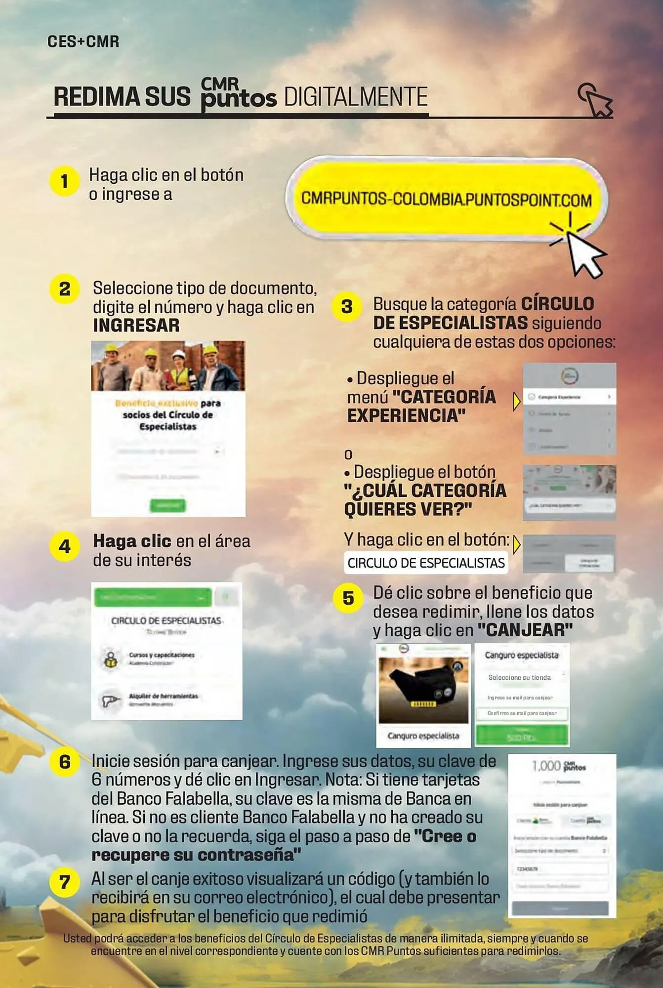 Catalogo de Catálogo Constructor 15 de enero al 31 de marzo 2024 - Pag 65