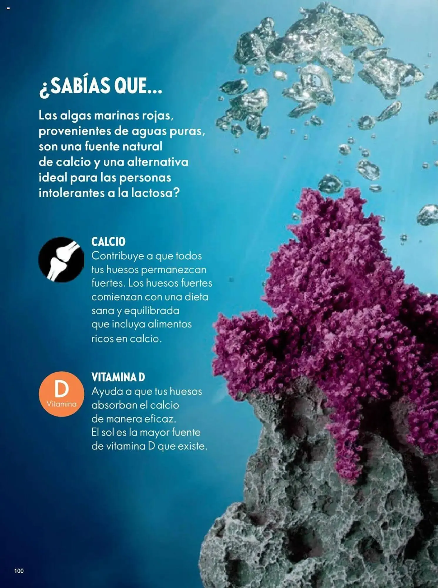 Catalogo de Catálogo Oriflame 10 de mayo al 30 de mayo 2025 - Pag 364